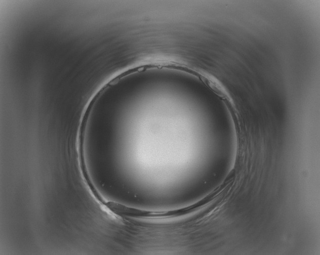 X0000073421343200607281142