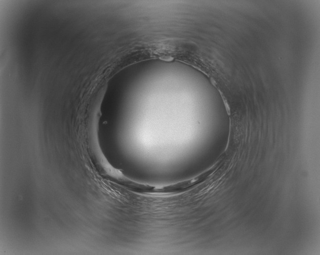 X0000073421345200607281142