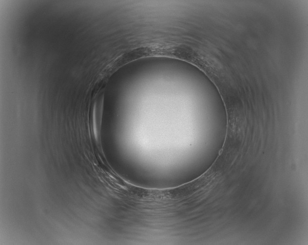 X0000073421346200607281142