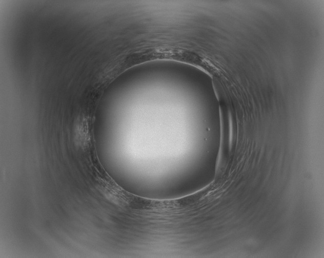 X0000073421347200607281142