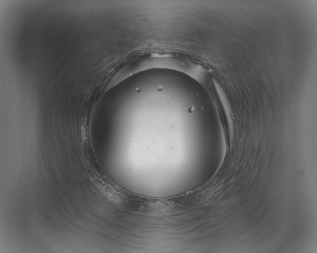 X0000073421348200607281142