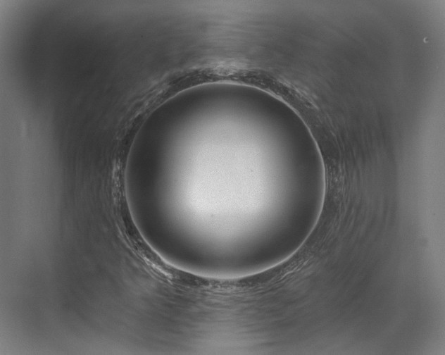 X0000073421349200607281142