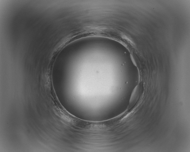 X0000073421354200607281141