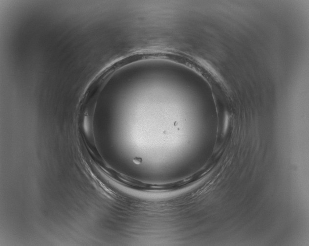X0000073421356200607281141