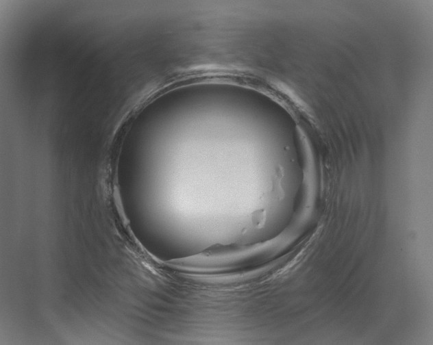 X0000073421357200607281141