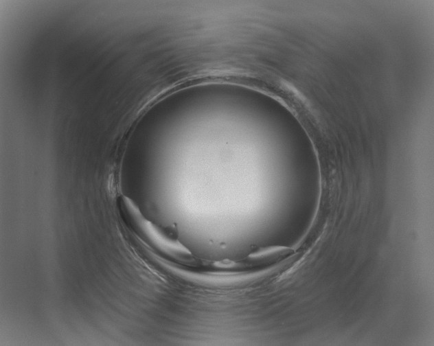 X0000073421361200607281141