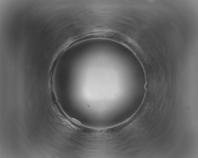 X0000073421362200607281141