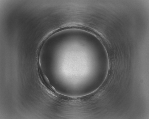 X0000073421363200607281141