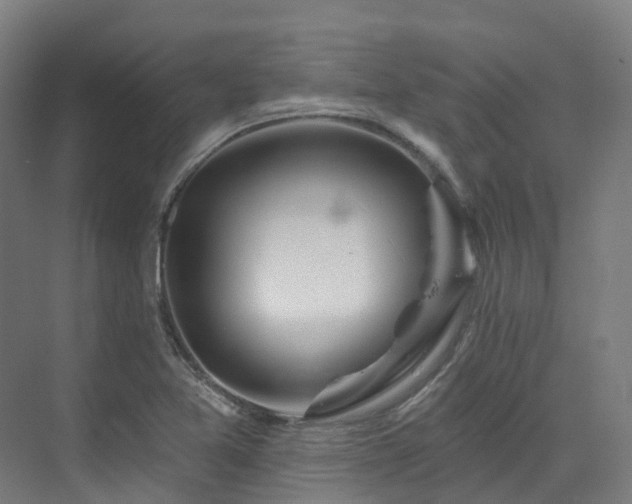 X0000073421365200607281141