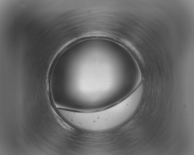 X0000073421372200607281141