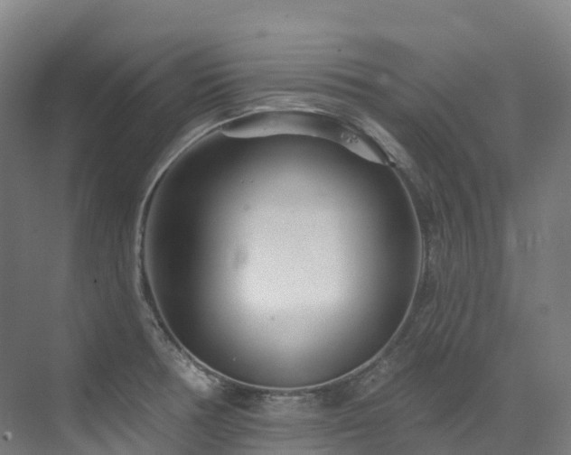 X0000073421378200607281141