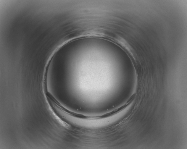 X0000073421379200607281141