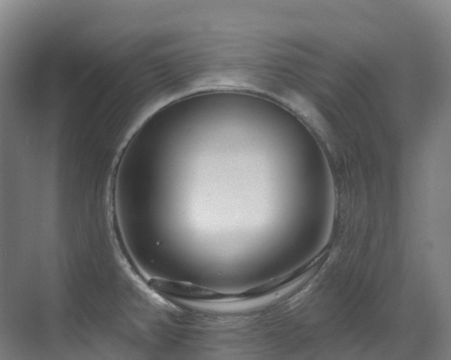 X0000073421382200607281141