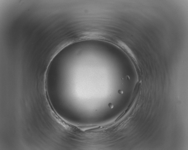 X0000073421386200607281141