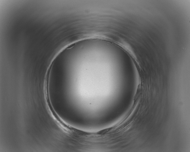 X0000073421391200607281141