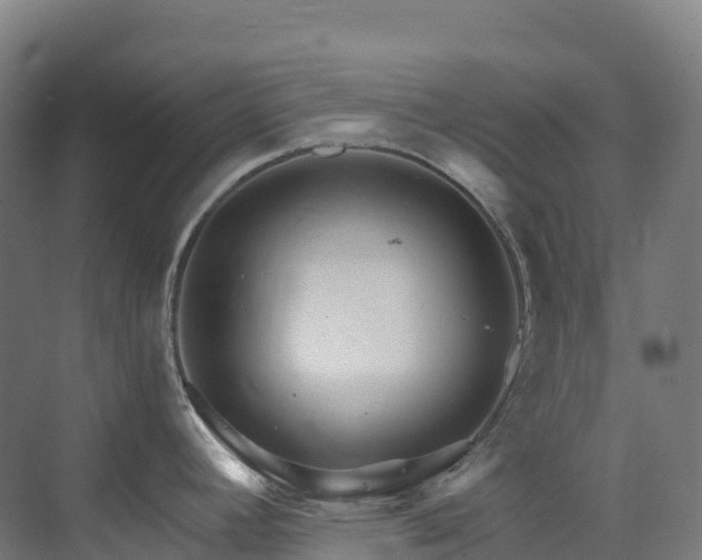 X0000073421392200607281141