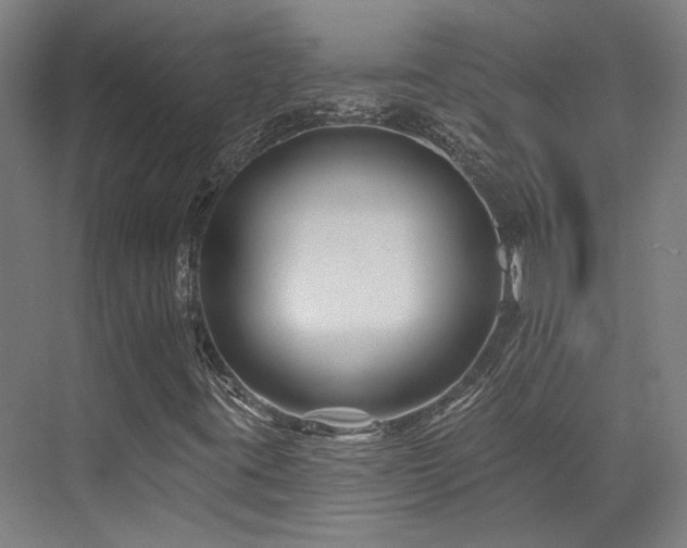 X0000073421395200607281140