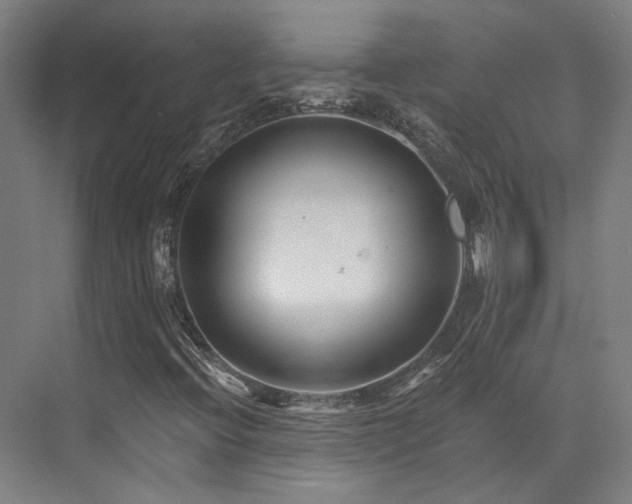 X0000073421396200607281140