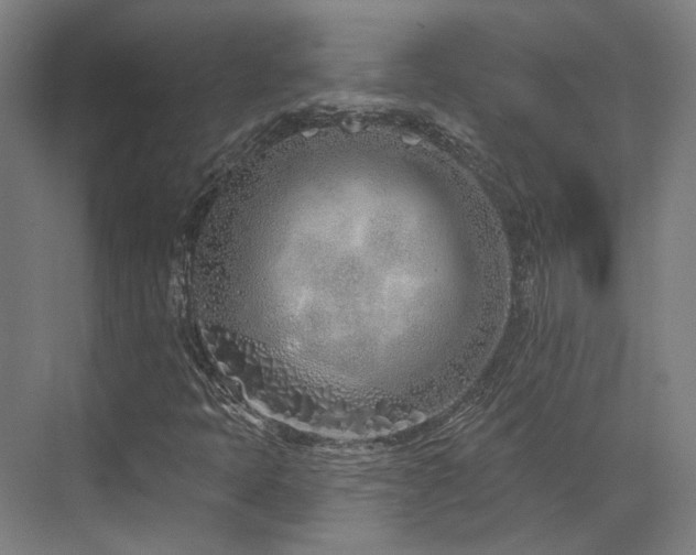 X0000073421397200607281140