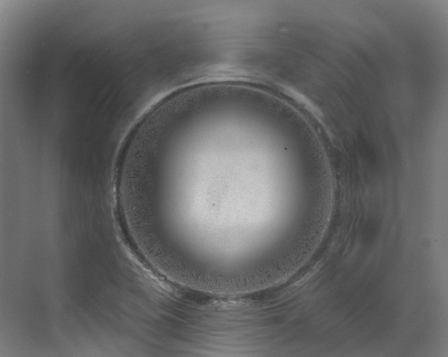 X0000073421415200607281140