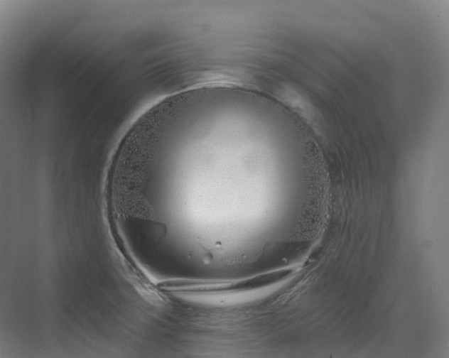 X0000073421427200607281141