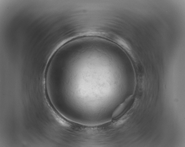 X0000073421428200607281141