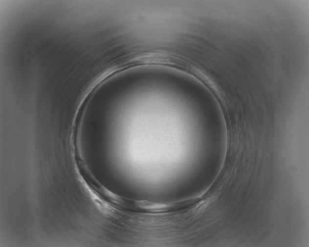 X0000073421434200607281141