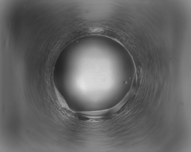 X0000073421441200607281140