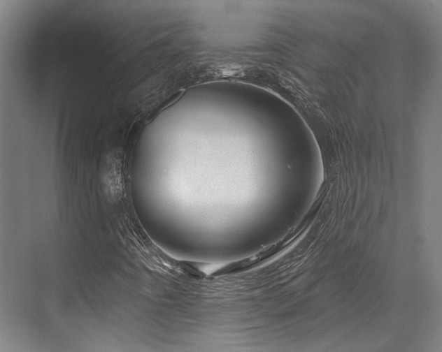 X0000073421442200607281140