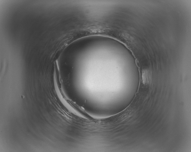 X0000073421444200607281140
