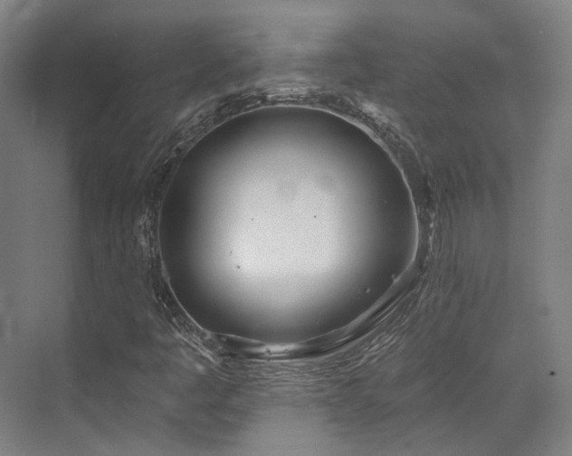 X0000073421445200607281140