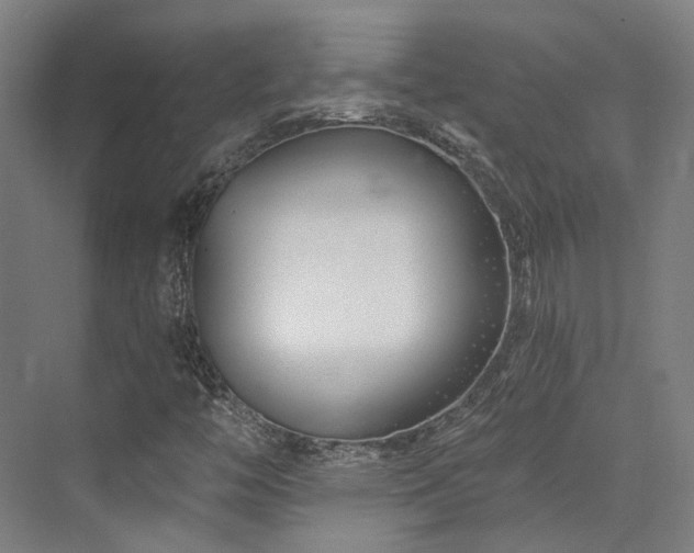 X0000073421446200607281140