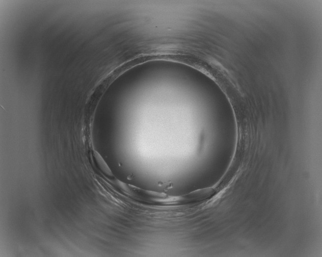 X0000073421449200607281140