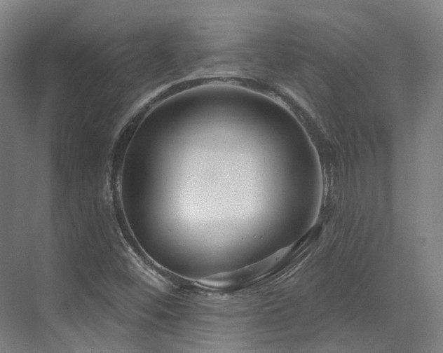 X0000073421452200607281140