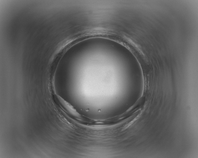 X0000073421453200607281140