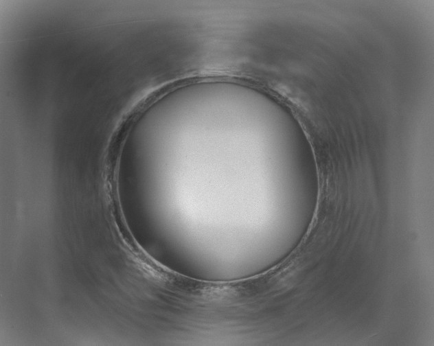 X0000073421454200607281140