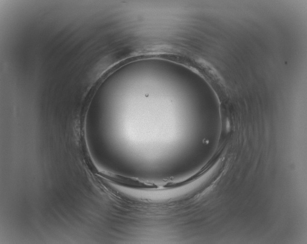 X0000073421457200607281140