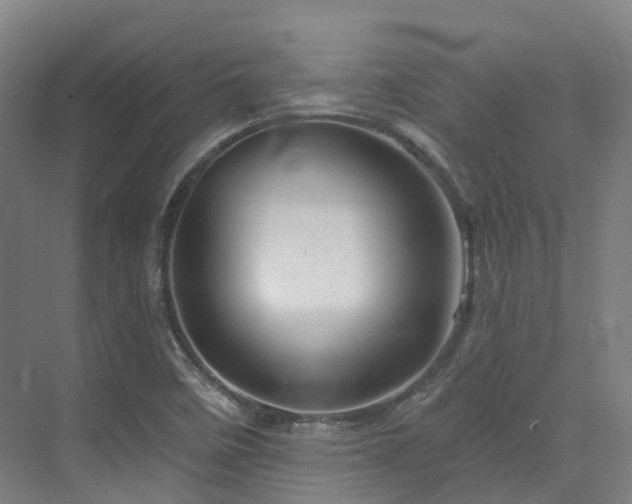 X0000073421458200607281140