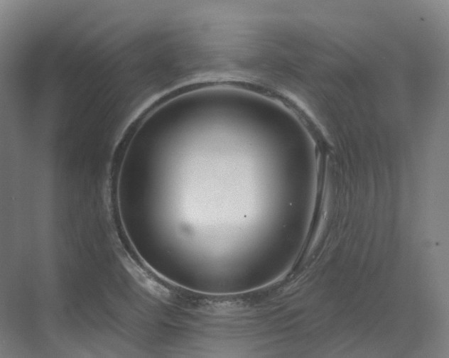 X0000073421460200607281140