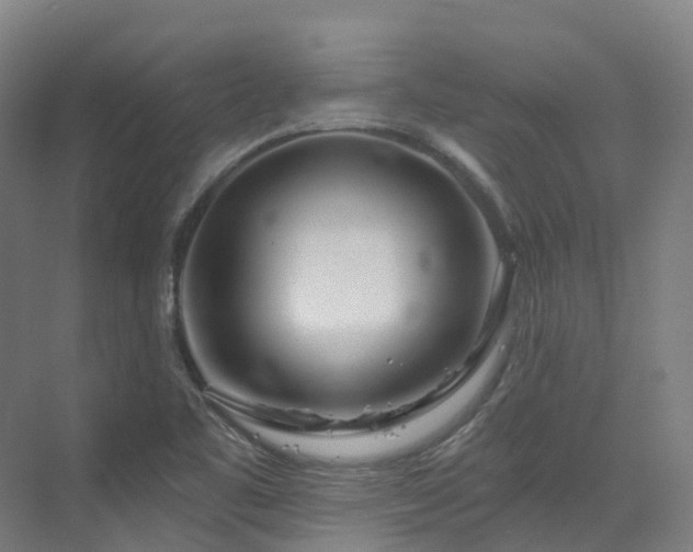 X0000073421461200607281140