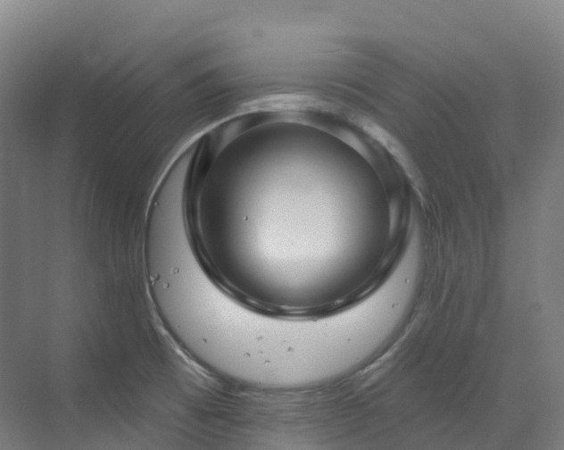 X0000073421473200607281139