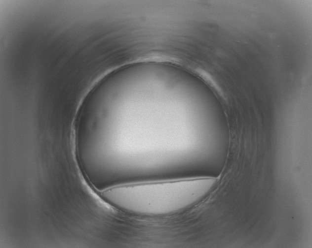 X0000073421476200607281139