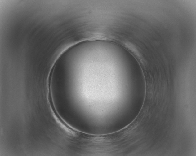 X0000073421479200607281139