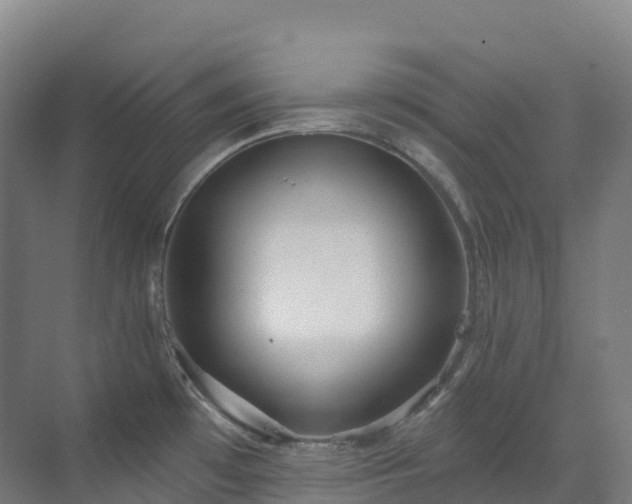 X0000073421481200607281139