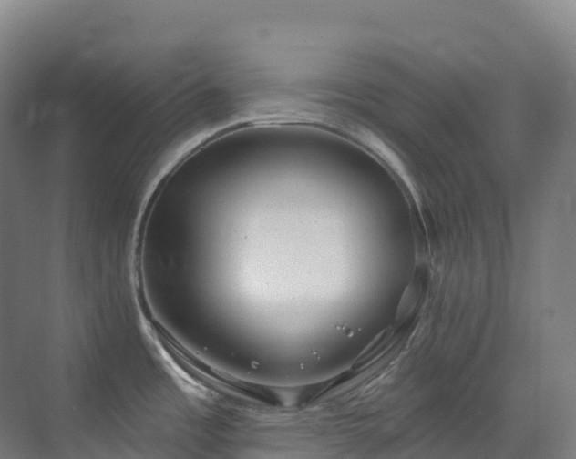 X0000073421485200607281139