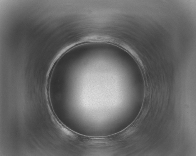 X0000073421486200607281139