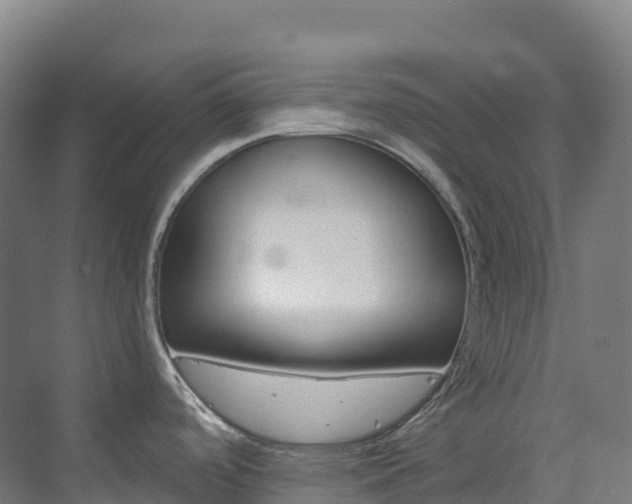 X0000073421488200607281139