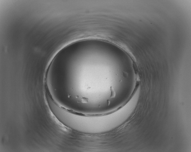 X0000073421532200607281139