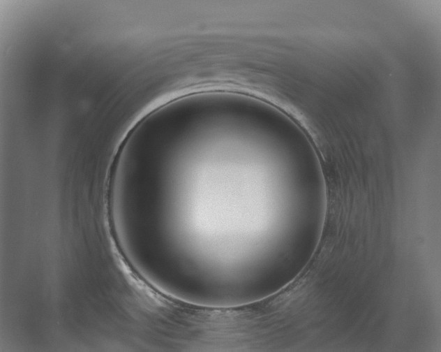 X0000073421534200607281139