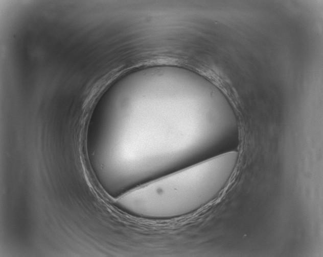 X0000073420001200608041036